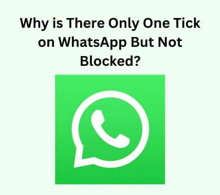 one tick on whatsapp but not blocked|why is there only one tick on whatsapp.